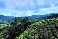 星空体育登录入口网站-星空体育登录新体验，解锁数字世界的精彩瞬间